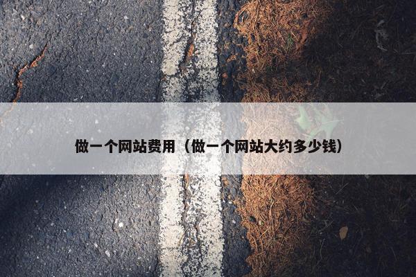 做一个网站费用（做一个网站大约多少钱）
