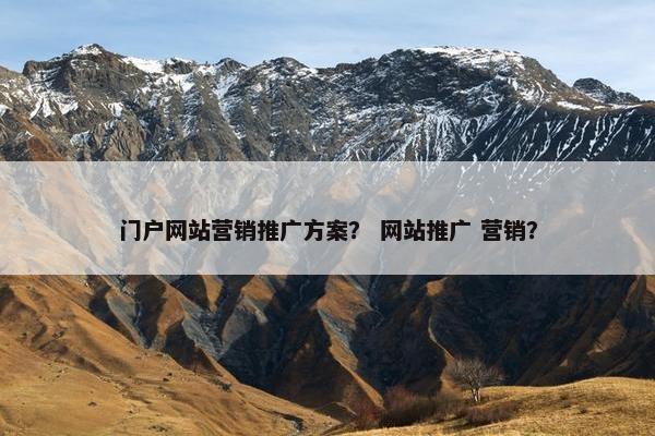 门户网站营销推广方案？ 网站推广 营销？