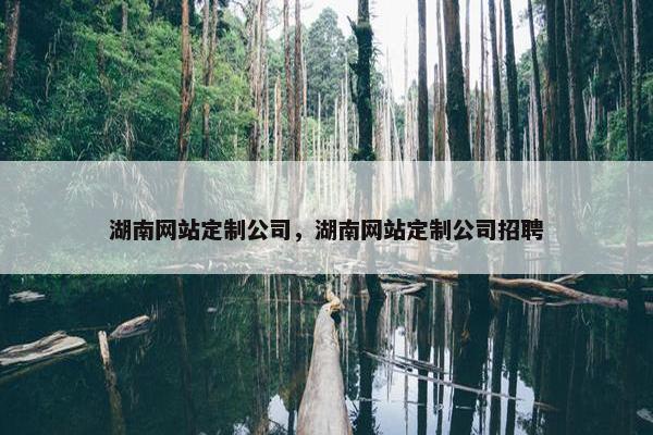 湖南网站定制公司，湖南网站定制公司招聘