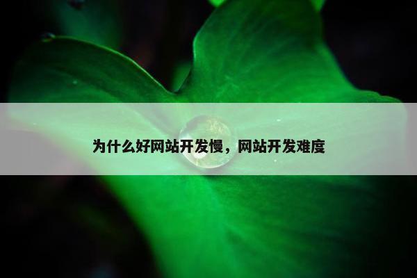 为什么好网站开发慢，网站开发难度
