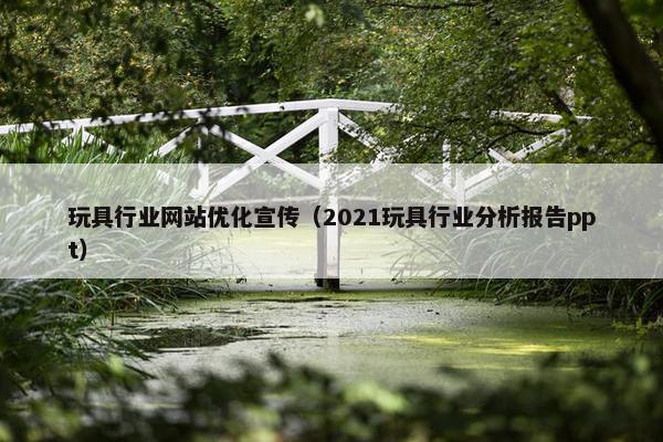 玩具行业网站优化宣传（2021玩具行业分析报告ppt）