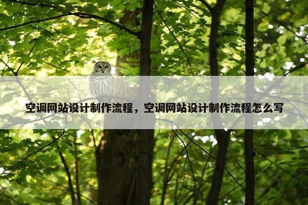 空调网站设计制作流程，空调网站设计制作流程怎么写