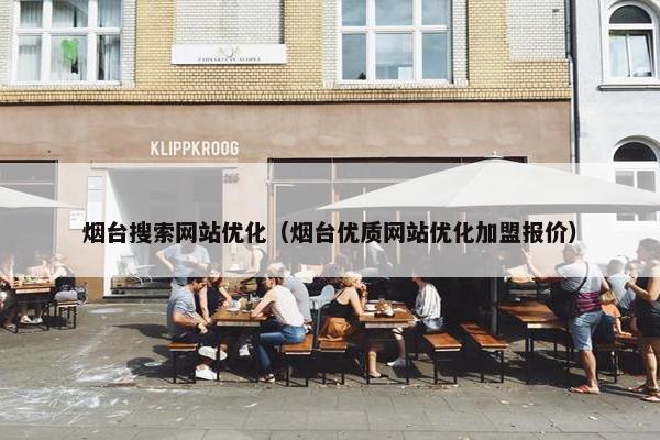 烟台搜索网站优化（烟台优质网站优化加盟报价）