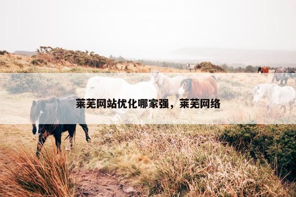 莱芜网站优化哪家强，莱芜网络