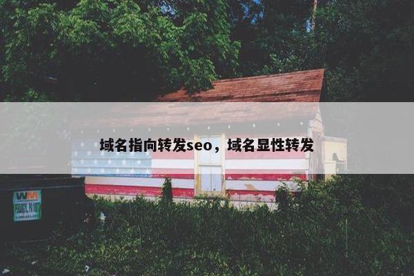 域名指向转发seo，域名显性转发