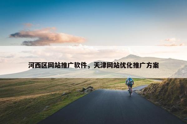 河西区网站推广软件，天津网站优化推广方案