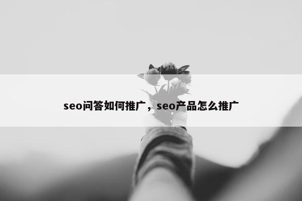 seo问答如何推广，seo产品怎么推广