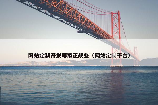 网站定制开发哪家正规些（网站定制平台）