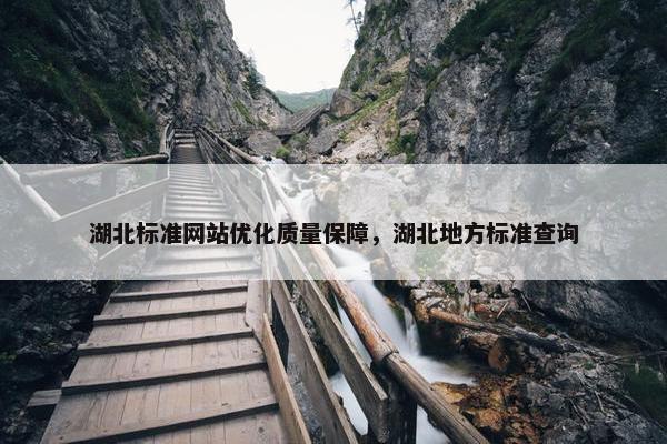 湖北标准网站优化质量保障，湖北地方标准查询