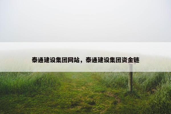 泰通建设集团网站，泰通建设集团资金链