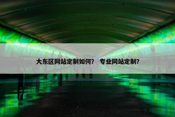 大东区网站定制如何？ 专业网站定制？