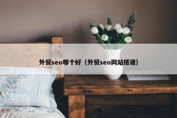 外贸seo哪个好（外贸seo网站搭建）