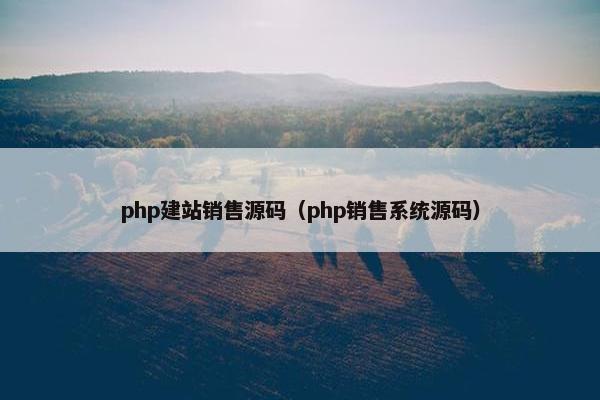 php建站销售源码（php销售系统源码）