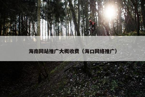 海南网站推广大概收费（海口网络推广）