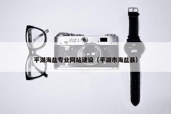 平湖海盐专业网站建设（平湖市海盐县）
