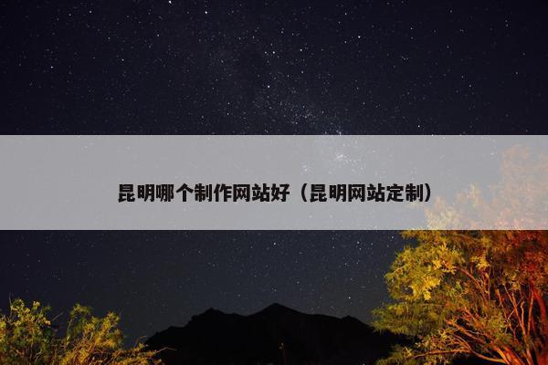 昆明哪个制作网站好（昆明网站定制）