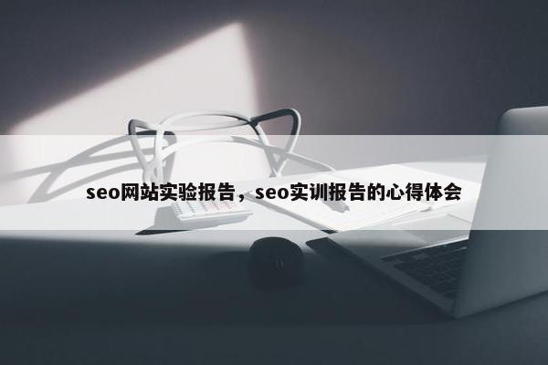 seo网站实验报告，seo实训报告的心得体会
