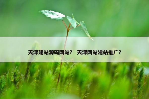 天津建站源码网站？ 天津网站建站推广？