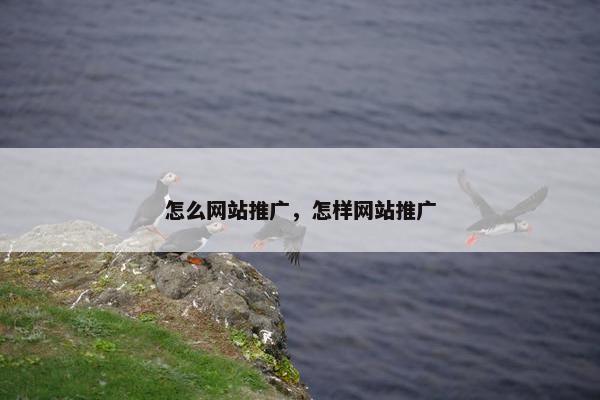 怎么网站推广，怎样网站推广