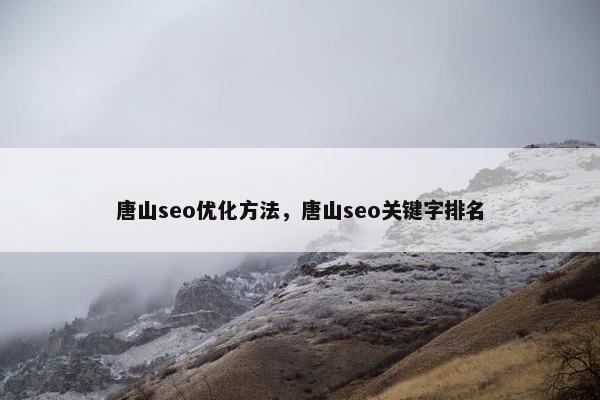 唐山seo优化方法，唐山seo关键字排名