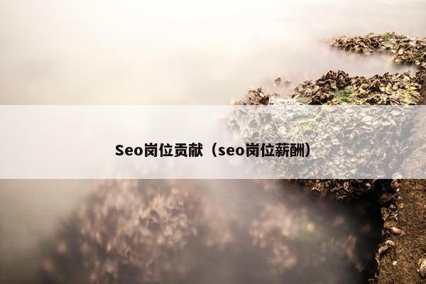 Seo岗位贡献（seo岗位薪酬）