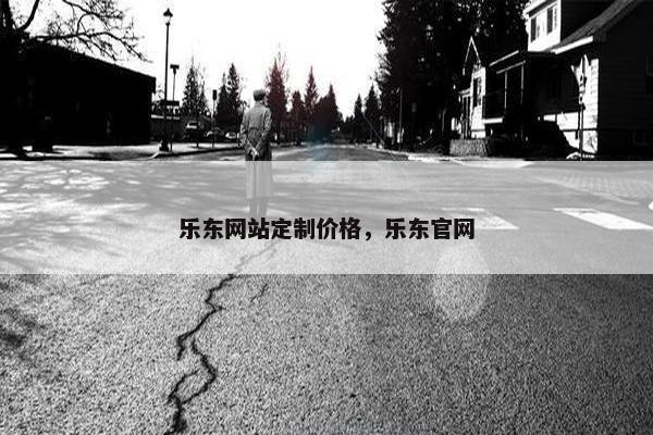 乐东网站定制价格，乐东官网