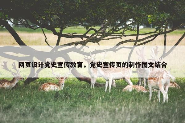 网页设计党史宣传教育，党史宣传页的制作图文结合