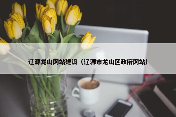 辽源龙山网站建设（辽源市龙山区政府网站）