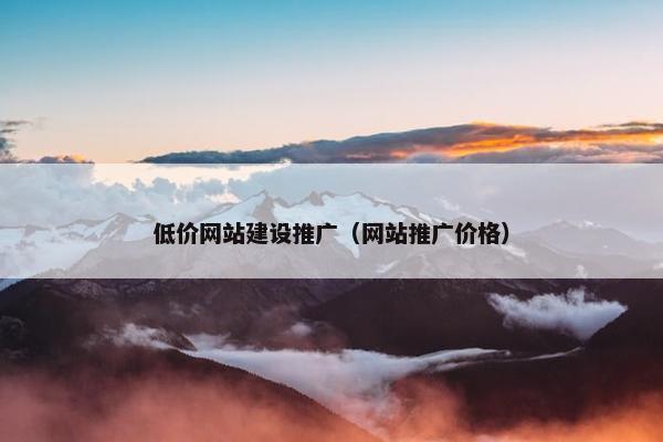 低价网站建设推广（网站推广价格）