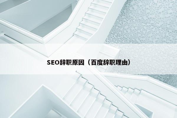 SEO辞职原因（百度辞职理由）