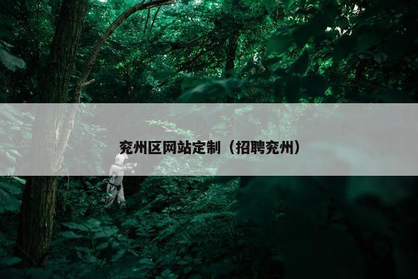 兖州区网站定制（招聘兖州）