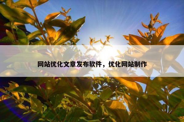 网站优化文章发布软件，优化网站制作