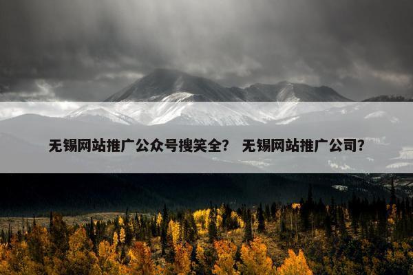 无锡网站推广公众号搜笑全？ 无锡网站推广公司？
