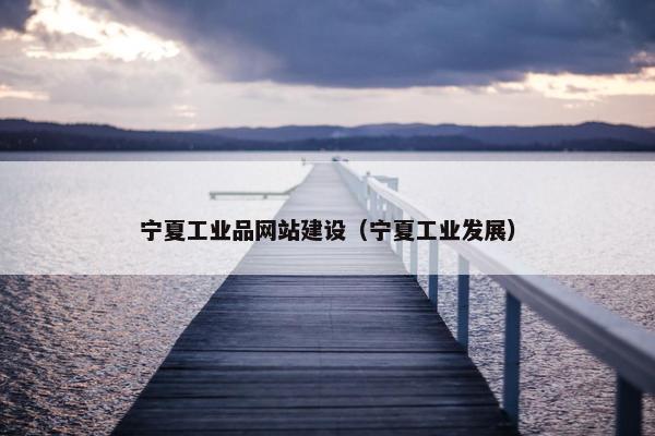 宁夏工业品网站建设（宁夏工业发展）