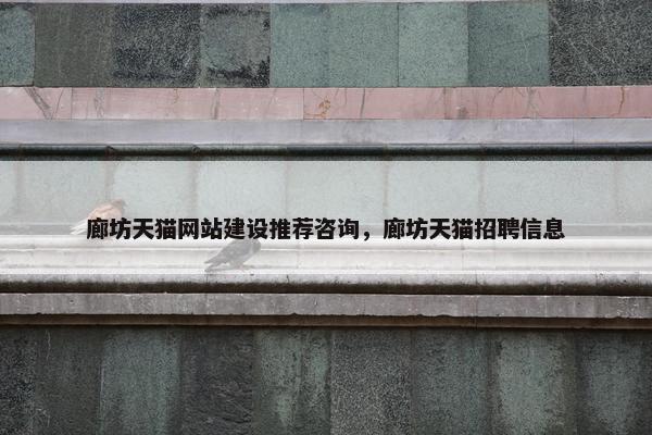 廊坊天猫网站建设推荐咨询，廊坊天猫招聘信息