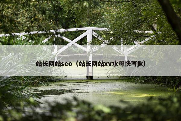 站长网站seo（站长网站xv水母快写jk）
