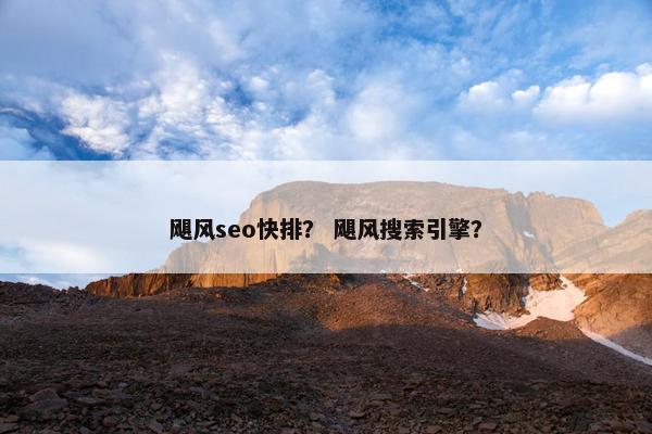 飓风seo快排？ 飓风搜索引擎？