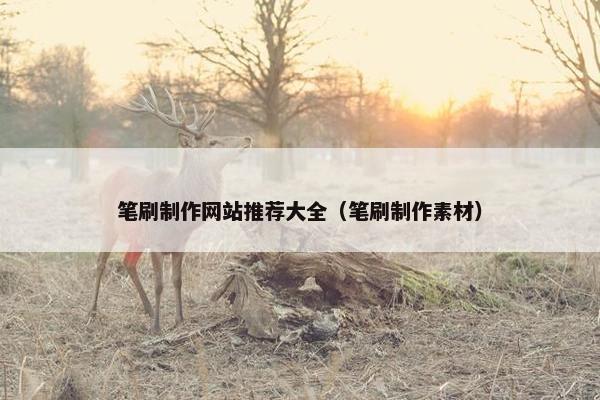 笔刷制作网站推荐大全（笔刷制作素材）