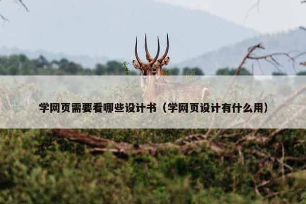 学网页需要看哪些设计书（学网页设计有什么用）