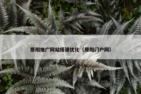原阳推广网站搭建优化（原阳门户网）