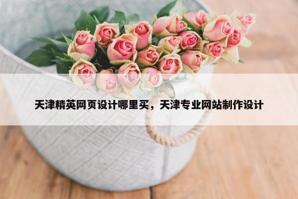 天津精英网页设计哪里买，天津专业网站制作设计