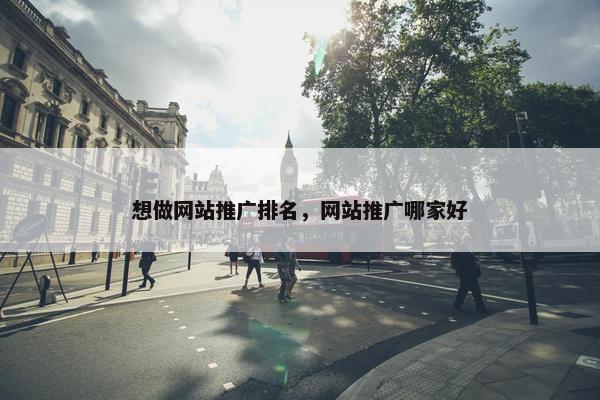 想做网站推广排名，网站推广哪家好