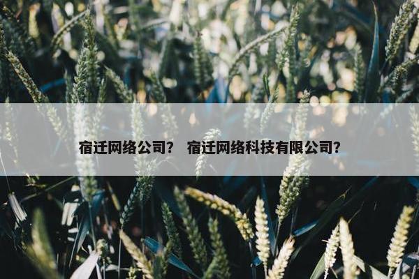 宿迁网络公司？ 宿迁网络科技有限公司？