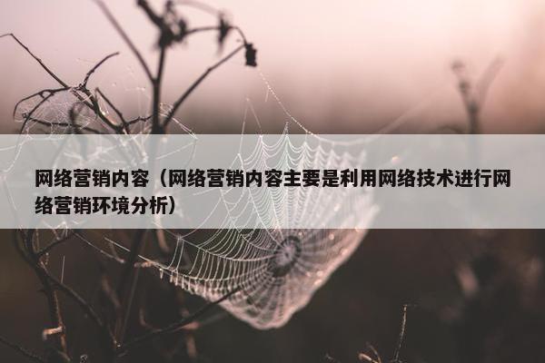网络营销内容（网络营销内容主要是利用网络技术进行网络营销环境分析）