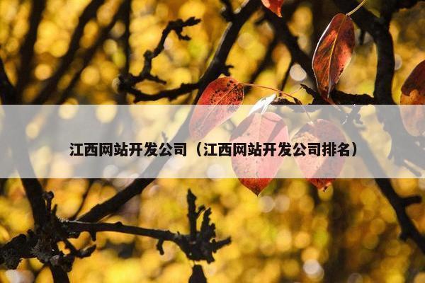 江西网站开发公司（江西网站开发公司排名）