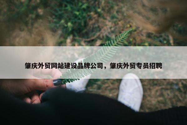 肇庆外贸网站建设品牌公司，肇庆外贸专员招聘