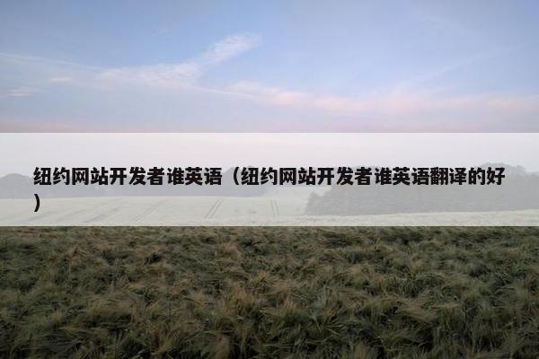 纽约网站开发者谁英语（纽约网站开发者谁英语翻译的好）