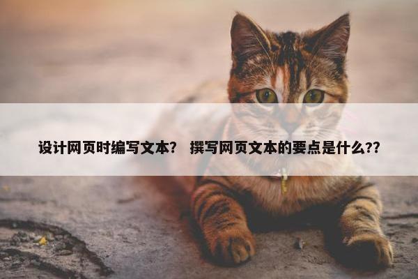 设计网页时编写文本？ 撰写网页文本的要点是什么?？
