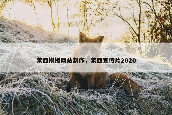 莱西模板网站制作，莱西宣传片2020