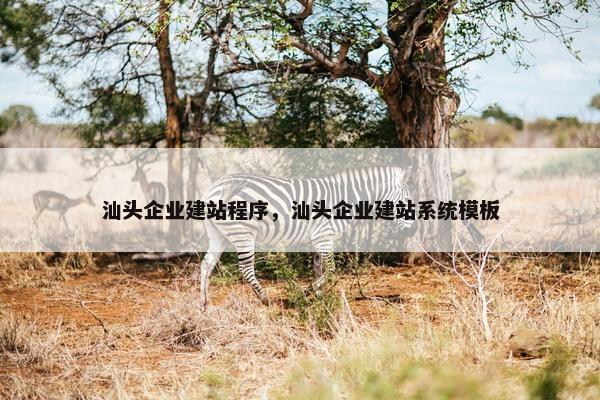 汕头企业建站程序，汕头企业建站系统模板